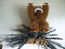 Monkey over bed